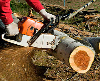 Maintenance tips for your chainsaw
